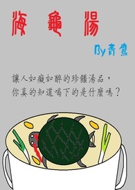 海龟汤红汤